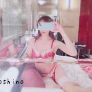 ヒメ日記 2025/08/31 11:40 投稿 よしの 東京人妻セレブリティ（ユメオト）