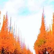 ヒメ日記 2025/12/07 16:45 投稿 よしの 東京人妻セレブリティ（ユメオト）