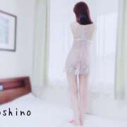 ヒメ日記 2026/01/18 22:30 投稿 よしの 東京人妻セレブリティ（ユメオト）