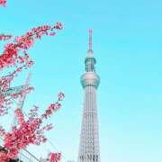 ヒメ日記 2026/04/03 12:55 投稿 よしの 東京人妻セレブリティ（ユメオト）