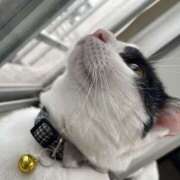 ヒメ日記 2025/06/14 19:50 投稿 るう りんくう泉佐野ちゃんこ