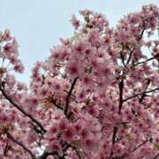 ヒメ日記 2025/03/26 19:03 投稿 ゆずは 池袋人妻城