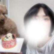 ヒメ日記 2025/05/14 11:03 投稿 ゆずは 池袋人妻城