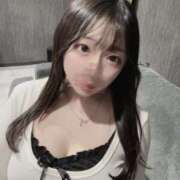 ヒメ日記 2025/02/25 13:42 投稿 うさ ホワイトベル