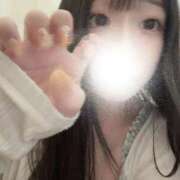 ヒメ日記 2025/09/12 22:02 投稿 うさ ホワイトベル