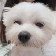 ヒメ日記 2025/09/25 17:12 投稿 うさ ホワイトベル