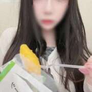 ヒメ日記 2025/10/09 21:22 投稿 うさ ホワイトベル