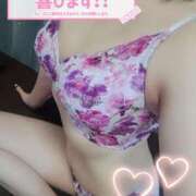 ヒメ日記 2025/04/24 08:32 投稿 みなと マリン宇都宮店