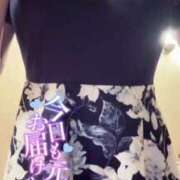 ヒメ日記 2025/08/15 20:16 投稿 みなと マリン宇都宮店