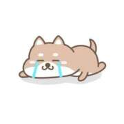 ヒメ日記 2025/12/29 16:23 投稿 モモア バニーコレクション秋田店