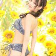 ヒメ日記 2025/08/15 11:43 投稿 らん 秘書室(吉原)