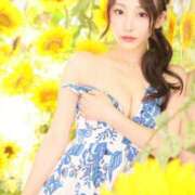 ヒメ日記 2025/08/26 13:28 投稿 らん 秘書室(吉原)