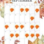 ヒメ日記 2025/08/28 09:38 投稿 きょうか 秘書室(吉原)