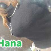 ヒメ日記 2025/03/13 12:28 投稿 はな 錦糸町人妻花壇