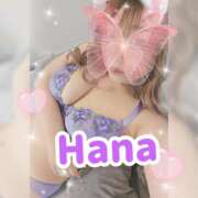 ヒメ日記 2025/04/09 12:06 投稿 はな 錦糸町人妻花壇