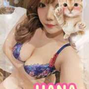 ヒメ日記 2025/05/13 12:34 投稿 はな 錦糸町人妻花壇