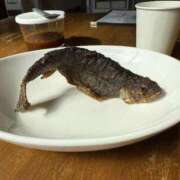 ヒメ日記 2025/02/19 23:16 投稿 ひかり 秘書室(吉原)