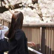 ヒメ日記 2025/07/08 10:34 投稿 ひかり 秘書室(吉原)