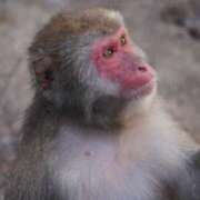 ヒメ日記 2025/10/29 22:22 投稿 ひかり 秘書室(吉原)