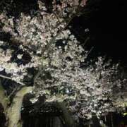 ヒメ日記 2025/04/10 19:10 投稿 はるき レモンカフェ