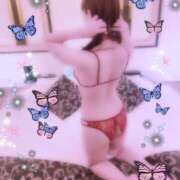 ヒメ日記 2026/02/13 09:54 投稿 夢乃かなえ 熟女パラダイス岐阜店（カサブランカグループ）