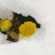 ヒメ日記 2025/02/24 16:51 投稿 愛瀬　のどか タッチVIP