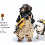 ヒメ日記 2025/04/14 18:49 投稿 愛瀬　のどか タッチVIP