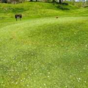 ヒメ日記 2025/05/20 17:34 投稿 愛瀬　のどか タッチVIP