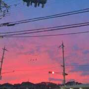 ヒメ日記 2025/07/04 16:03 投稿 愛瀬　のどか タッチVIP