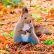 愛瀬　のどか お疲れ様です🍵💖 タッチVIP