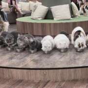 ヒメ日記 2025/06/11 18:16 投稿 めあ 完全密室 無抵抗