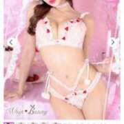 めあ しゅ 完全密室 無抵抗