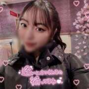 ヒメ日記 2025/03/29 16:12 投稿 深瀬キャロル 奴隷志願！変態調教飼育クラブ本店