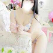 ヒメ日記 2025/07/24 11:42 投稿 ねね ジャパンクラブ富士