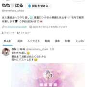 ヒメ日記 2025/10/15 10:31 投稿 ねね ジャパンクラブ富士