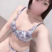 ヒメ日記 2025/11/17 15:24 投稿 ねね ジャパンクラブ富士