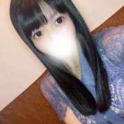 ヒメ日記 2025/12/15 16:42 投稿 ねね ジャパンクラブ富士