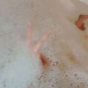 ヒメ日記 2025/04/21 12:00 投稿 めあ 体験入店 愛ロマンス