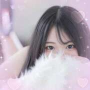 ヒメ日記 2025/05/08 16:13 投稿 れん ちゃんこ本厚木店