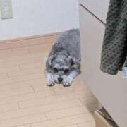 ヒメ日記 2025/11/19 16:33 投稿 れん ちゃんこ本厚木店