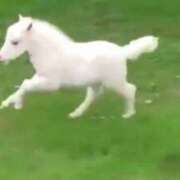 ヒメ日記 2026/01/08 12:37 投稿 ゆうな カリビアン