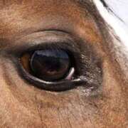 ヒメ日記 2026/01/14 11:33 投稿 ゆうな カリビアン