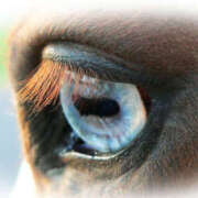 ヒメ日記 2026/01/25 13:29 投稿 ゆうな カリビアン