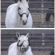 ヒメ日記 2026/02/03 11:40 投稿 ゆうな カリビアン