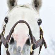 ヒメ日記 2026/02/12 11:52 投稿 ゆうな カリビアン