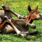 ゆうな うまおんな出勤❣️ カリビアン