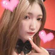 ヒメ日記 2025/02/15 17:15 投稿 アカネ ドMなバニーちゃん大宮店