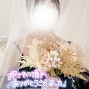 ヒメ日記 2025/04/26 01:14 投稿 じゅり チューリップ福井本館