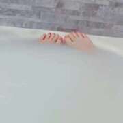 ヒメ日記 2025/04/27 08:14 投稿 じゅり チューリップ福井本館