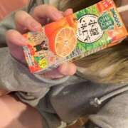 あるの ぽんぽん 新宿プチドール